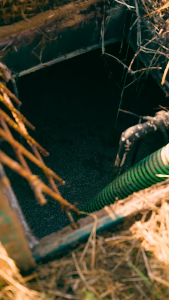 Open manhole exposing dark, still water and muddy edges, with a green hose looping along the rim and dried grass nearby. - arwwm - arwwm