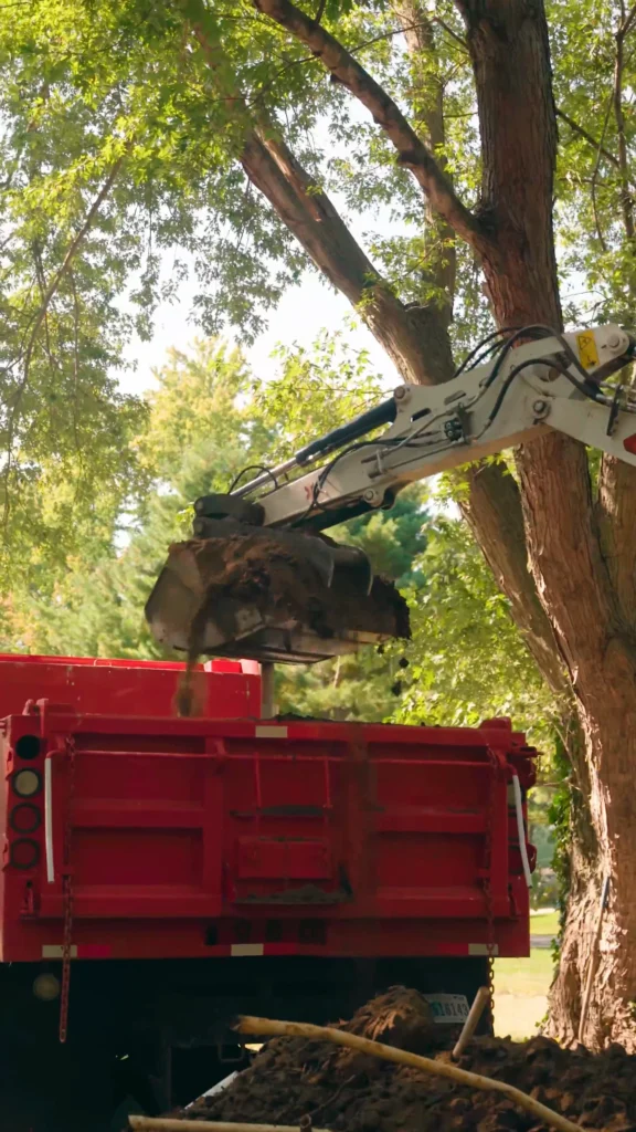Excavator arm on a red dump truck lifting dirt and a tree stump from the ground near a tree. - arwwm - arwwm
